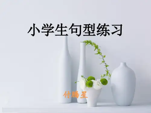 小学生语文常见句型练习