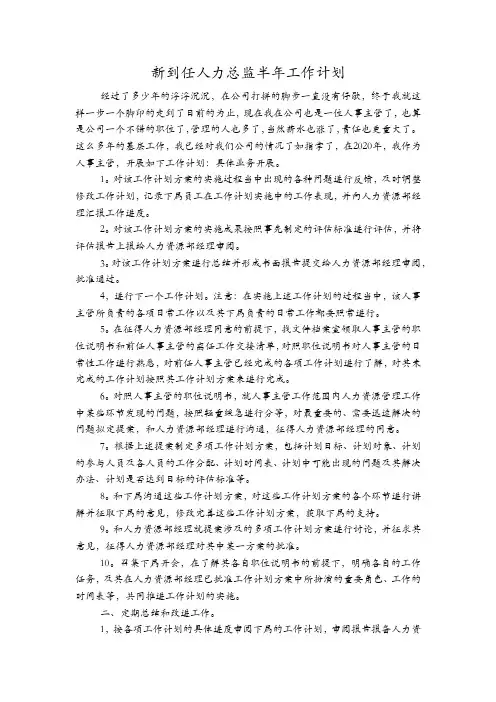 新到任人力总监半年工作计划
