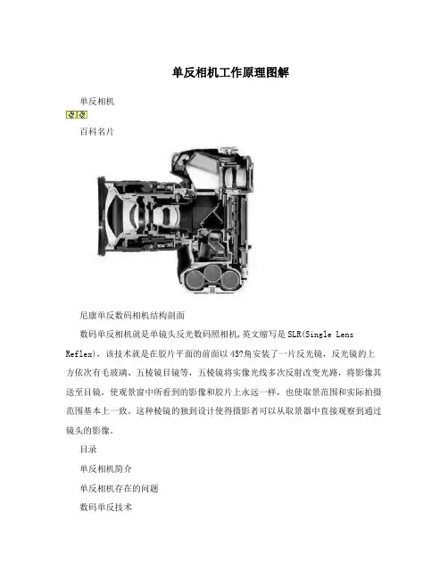 单反相机工作原理图解