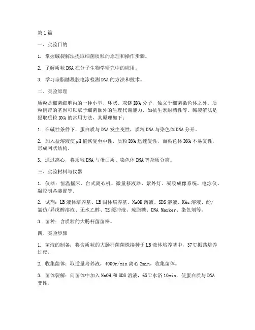 细菌质粒提取实验报告(3篇)