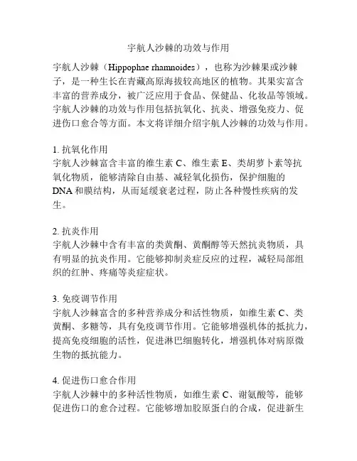 宇航人沙棘的功效与作用