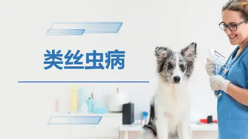 犬猫的寄生虫病(类丝虫病)-宠物医生课件