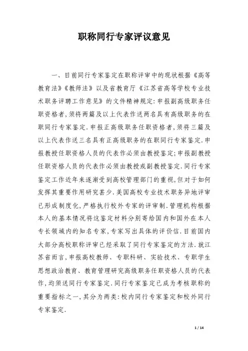 职称同行专家评议意见