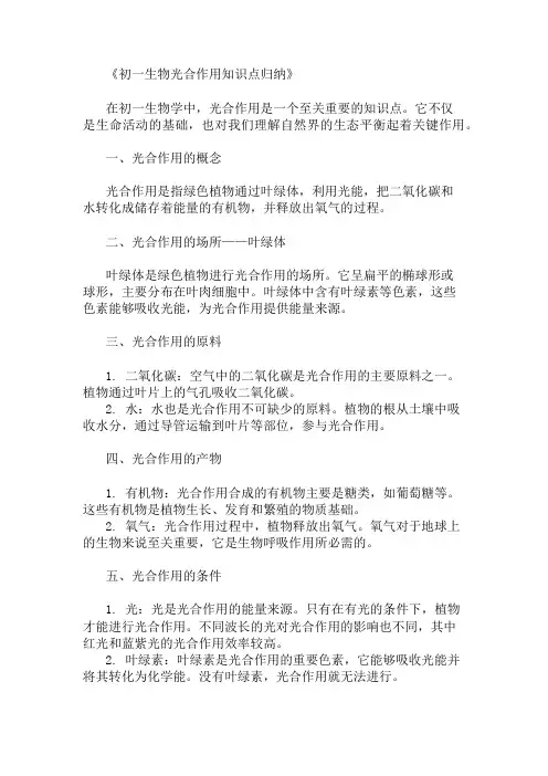 初一生物光合作用知识点归纳