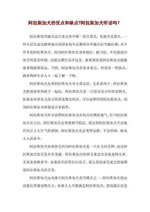 阿拉斯加犬的优点和缺点-阿拉斯加犬听话吗？