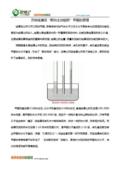 页岩硅藻泥“靶向主动吸附”甲醛的原理