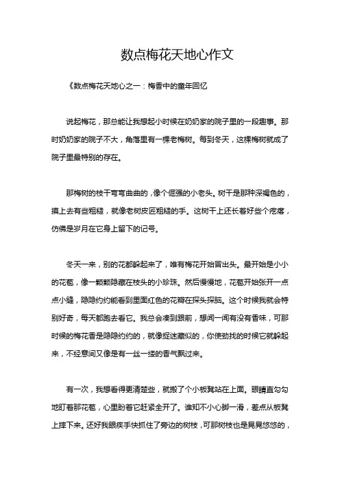 数点梅花天地心作文