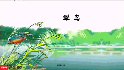 《翠鸟》参考课件