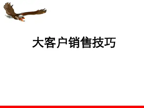 大客户销售技巧 ppt课件