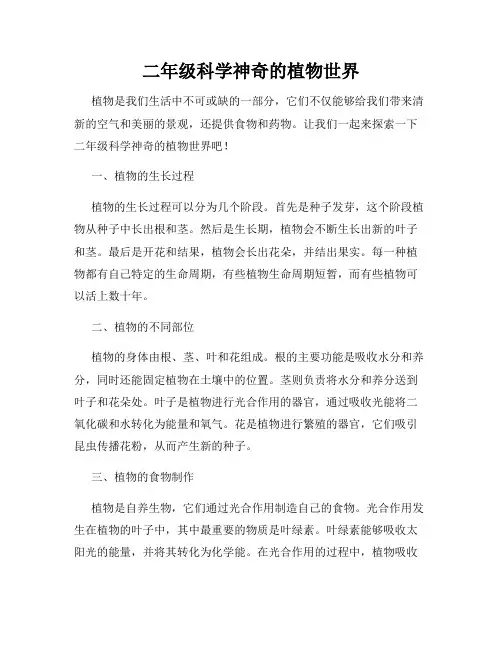 二年级科学神奇的植物世界