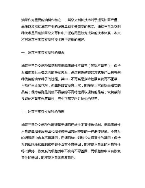 简述油菜三系杂交制种技术