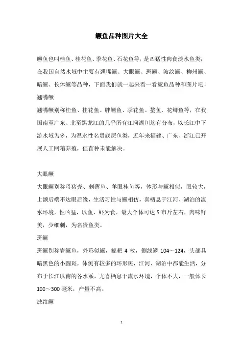 鳜鱼品种图片大全