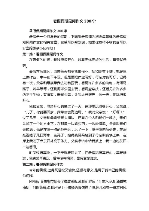 暑假假期见闻作文300字