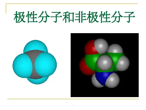极性分子和非极性分子