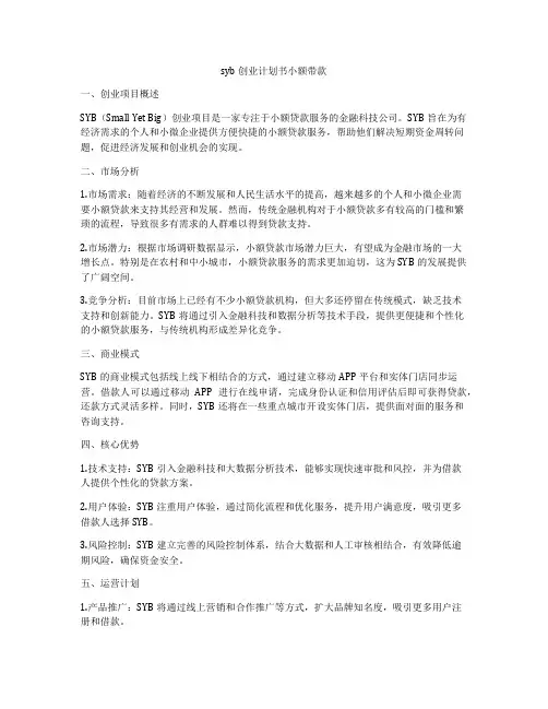 syb创业计划书小额带款