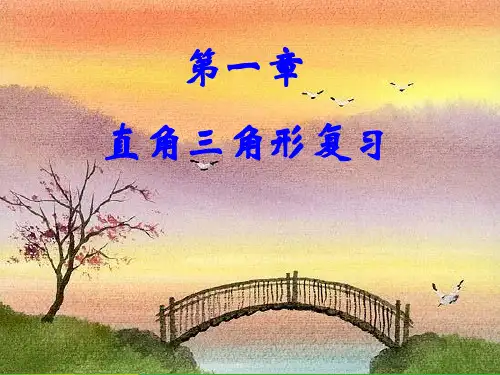 湘教版八年级数学下册第一章《直角三角形》优课件