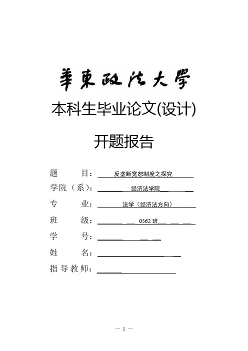 开题报告(华政)