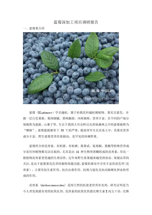 蓝莓加工可研报告范文