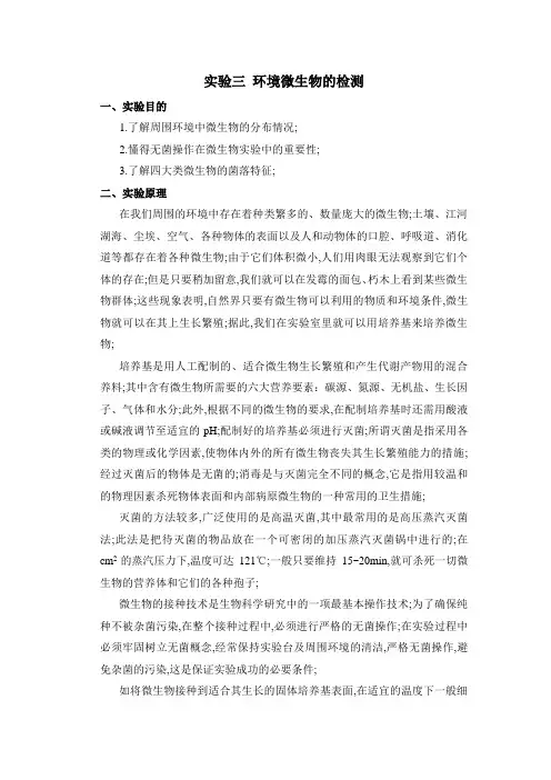 实验环境微生物的检测