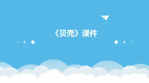 2024版《贝壳》课件