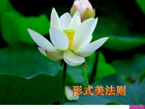 会展设计的形式美法则