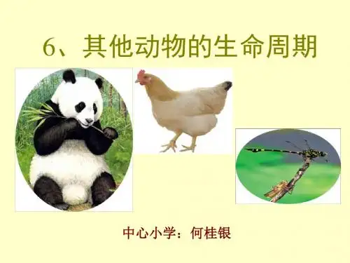 其他动物的生命周期