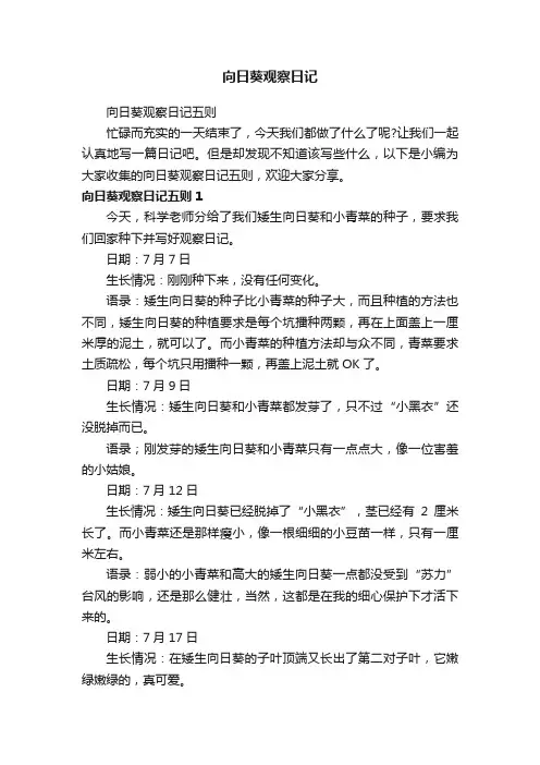 向日葵观察日记五则