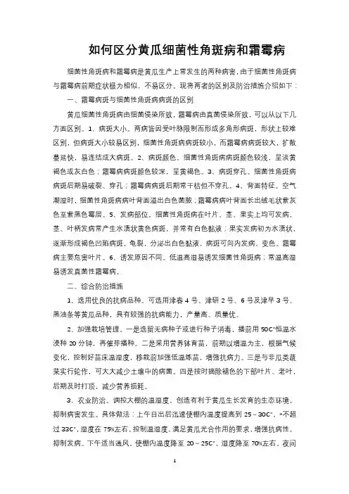如何区分黄瓜细菌性角斑病和霜霉病