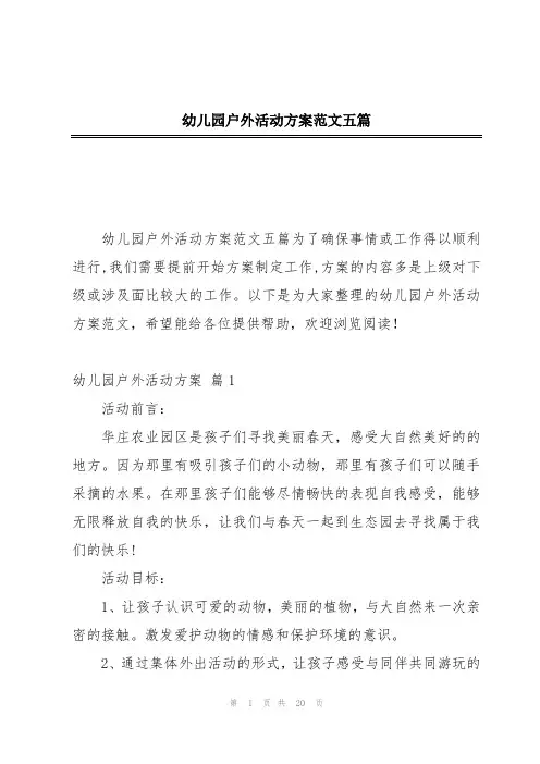 幼儿园户外活动方案范文五篇
