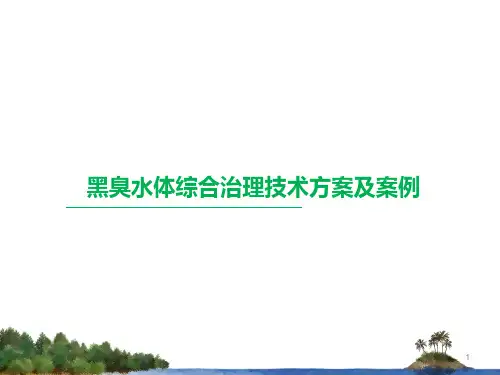 黑臭水体综合治理技术方案及案例