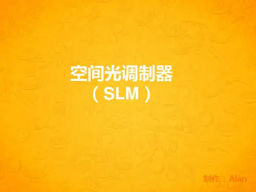 空间光调制器