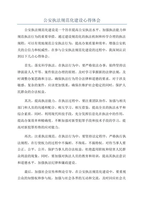 公安执法规范化建设心得体会
