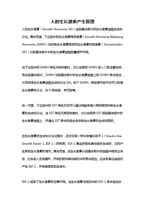 人的生长激素产生原理