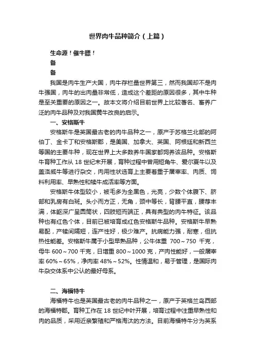 世界肉牛品种简介（上篇）