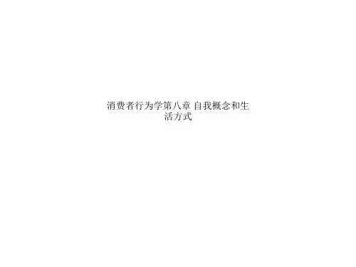 消费者行为学第八章 自我概念和生活方式