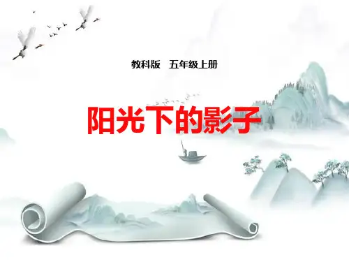 《阳光下的影子》光演示课件
