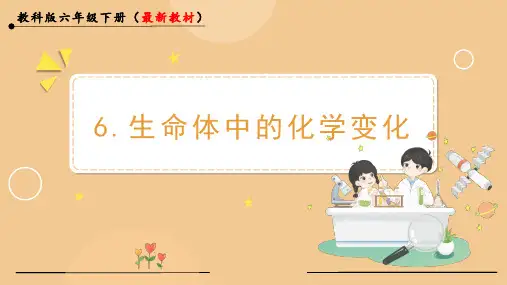 生命体中的化学变化小学六年级下册科学PPT课件