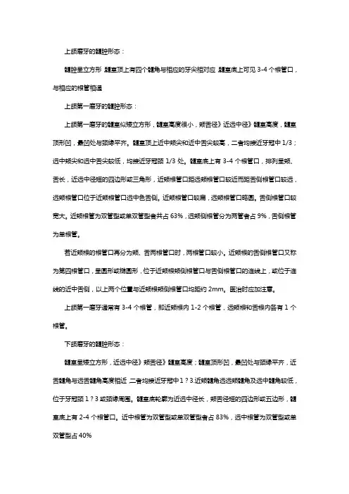 上颌磨牙的髓腔形态