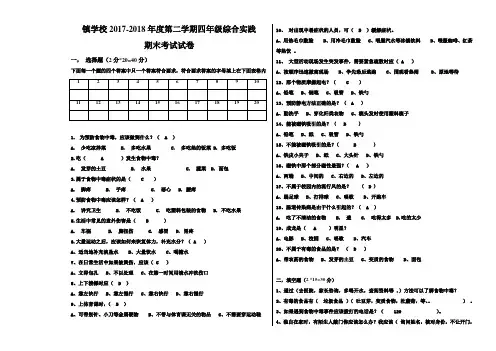 四年级综合实践试卷及答案