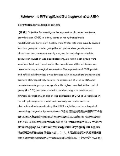 结缔组织生长因子在肾积水模型大鼠肾组织中的表达研究