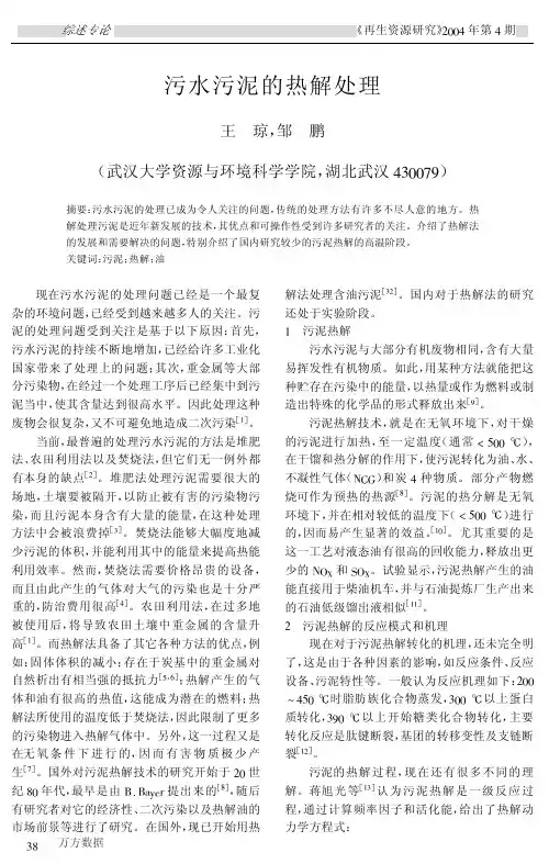 污水污泥的热解处理