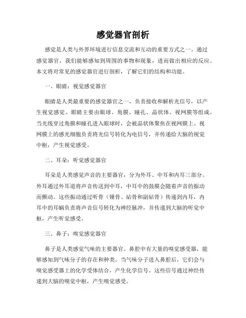 感觉器官剖析