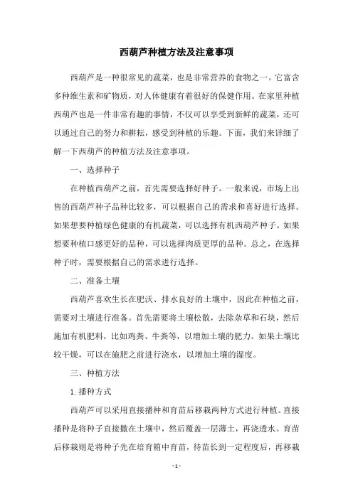 西葫芦种植方法及注意事项