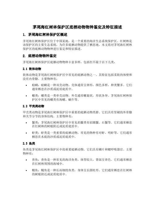 茅尾海红树林保护区底栖动物物种鉴定及特征描述
