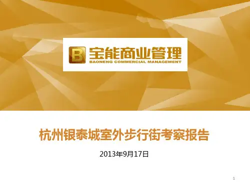 杭州银泰城室外步行街考察专项汇报