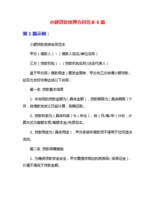 小额贷款质押合同范本6篇