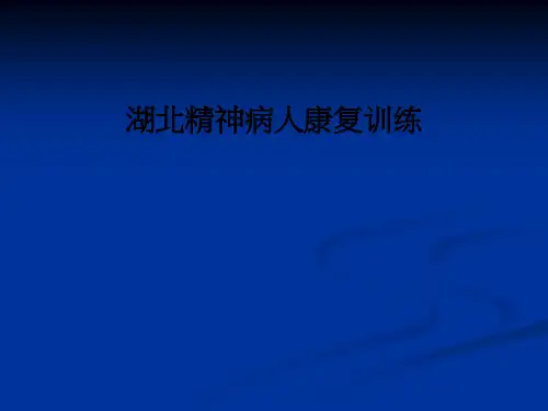 湖北精神病人康复训练ppt课件