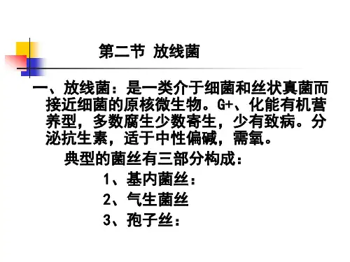 放线菌-微生物讲解