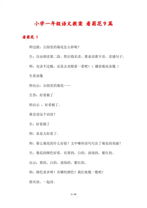 小学一年级语文教案 看菊花9篇