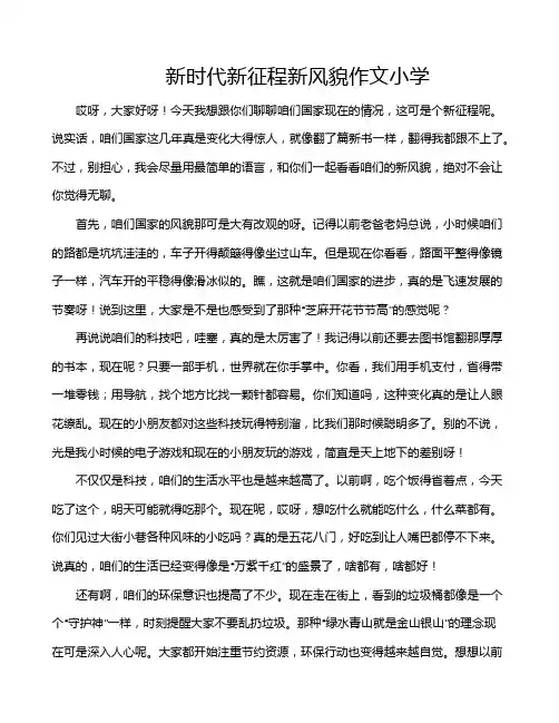 新时代新征程新风貌作文小学